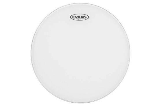 Evans B18GP 18" G PLUS COATED: 1