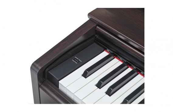 Yamaha YDP-103 Rosewood (+блок питания): 3