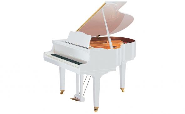 Yamaha GB1K (PWH): 1