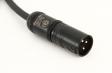 Planet Waves PW-AMSM-10 AMERICAN STAGE MICROPHONE CABLE, 10ft: 2