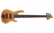 LTD B155 DX (Honey Natural)