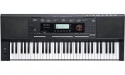 Kurzweil KP110 (+ блок-питания и стойка в подарок)