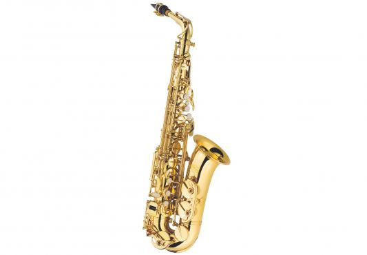 J.MICHAEL AL-500 Alto Saxophone: 1