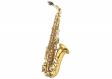 J.MICHAEL AL-600 (P) Alto Saxophone: 1