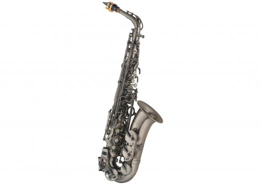 J.MICHAEL AL-980GML (S) Alto Saxophone: 1