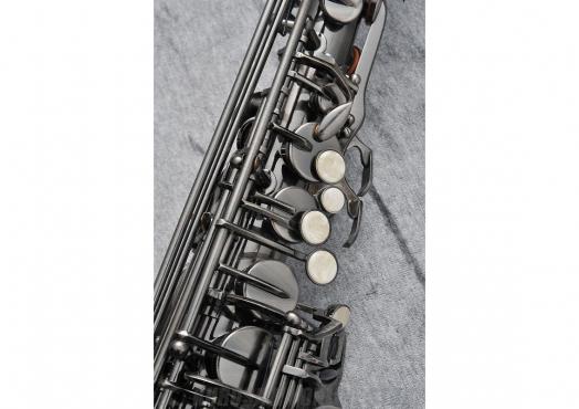 J.MICHAEL AL-980GML (S) Alto Saxophone: 2