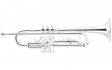 J.MICHAEL TR-430S (S) Trumpet: 1