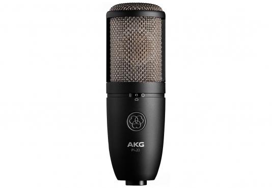 AKG Perception P420: 1