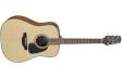 Takamine GD10 NS: 1