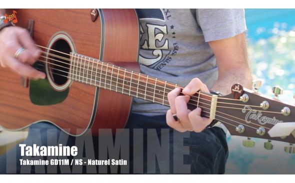 Takamine GD11M NS: 2